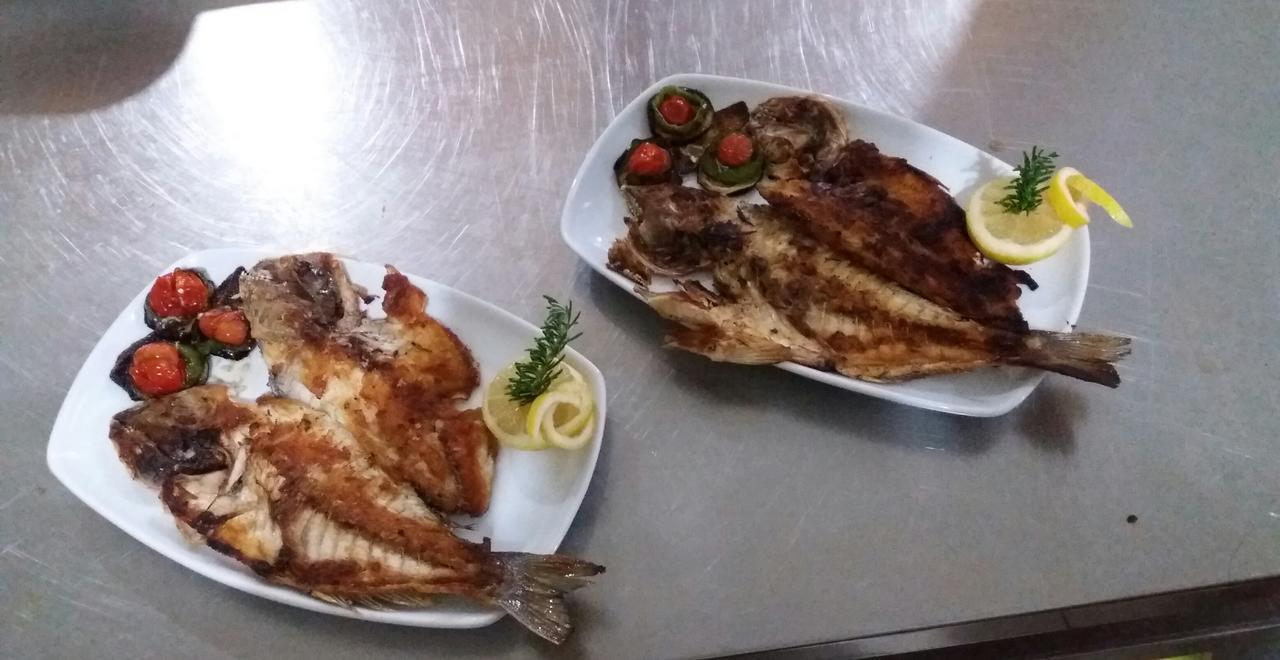 Hotel Restaurant Univers Shkodër Exterior foto